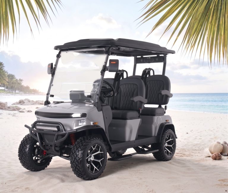 2026 Denago EV Rover XL