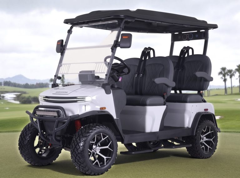 2026 Denago EV Rover XL