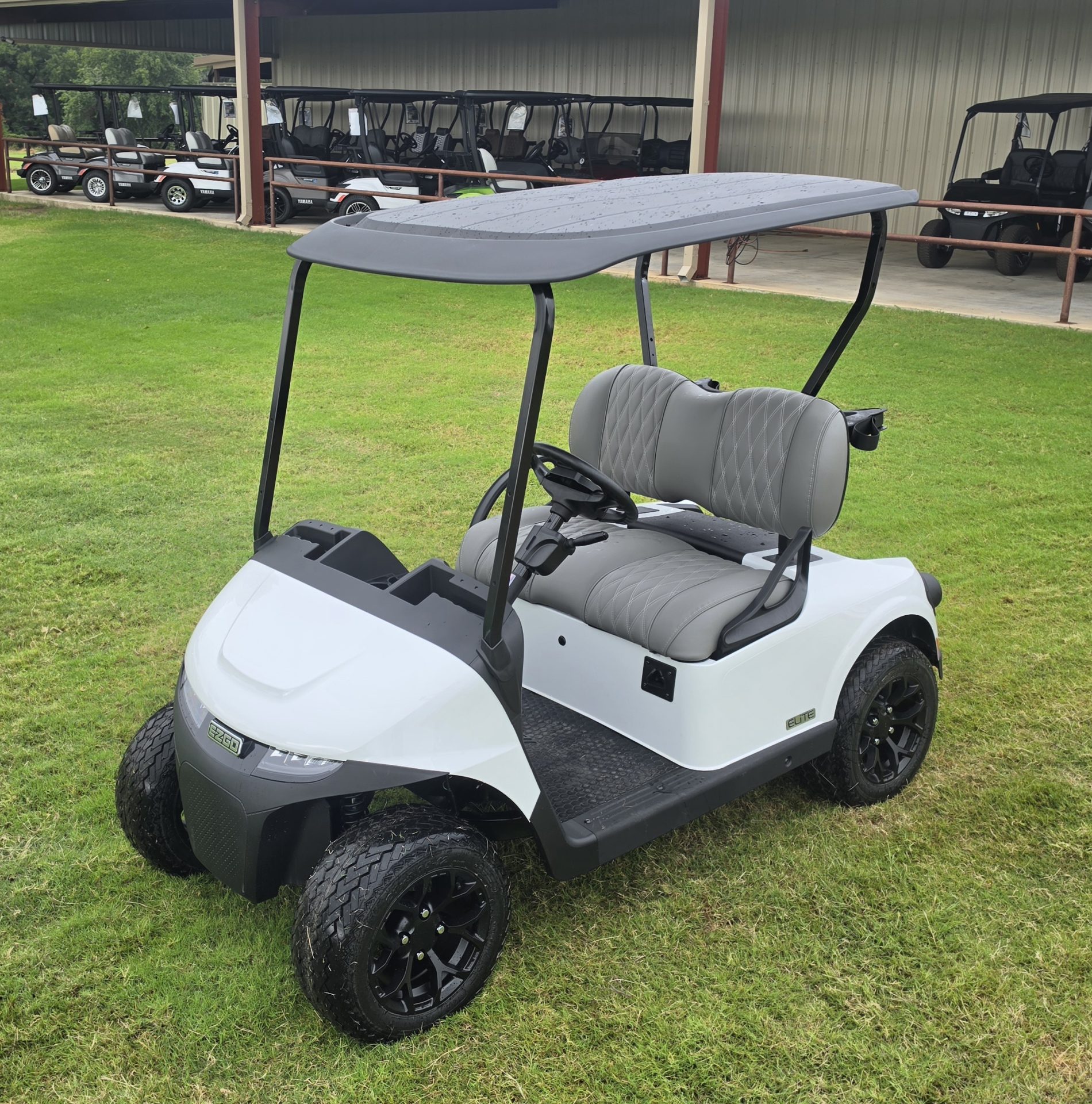 2026 EZGO Freedom