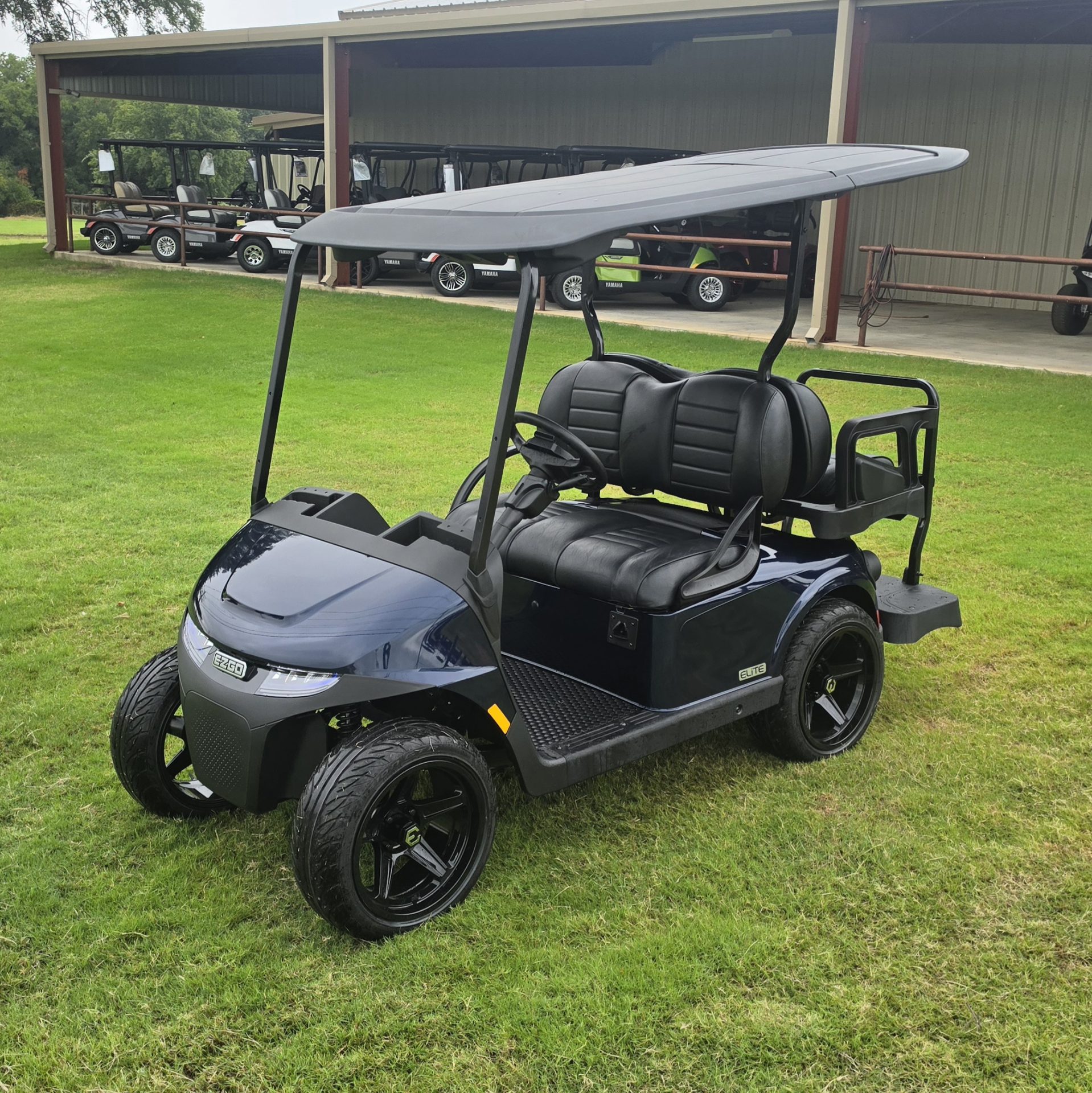 2026 EZGO Freedom