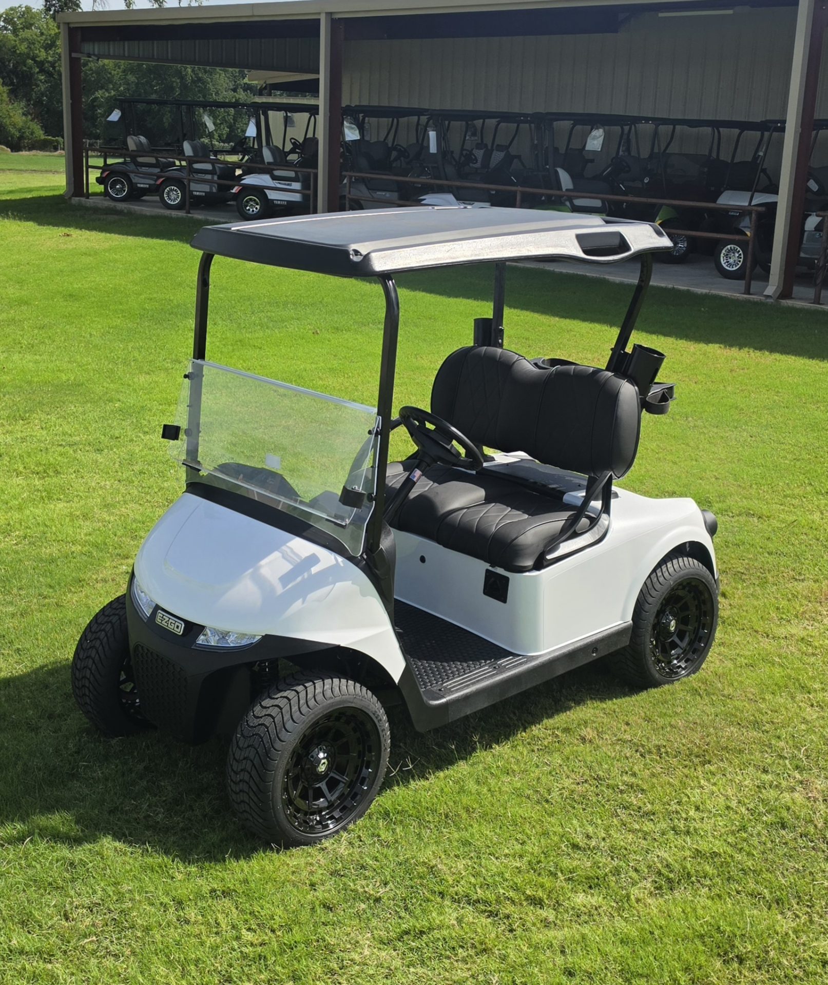 2025 EZGO Freedom