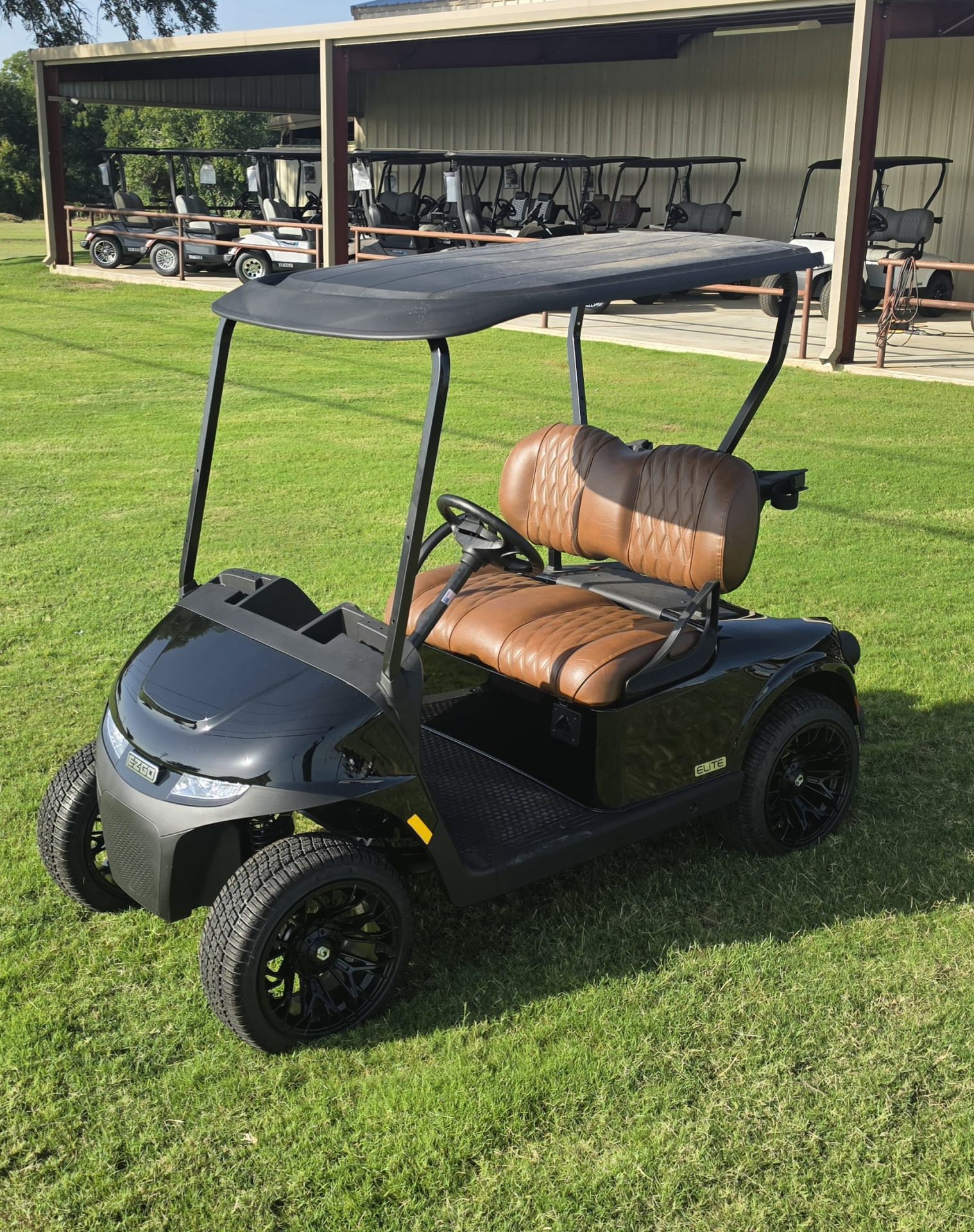 2026 EZGO Freedom