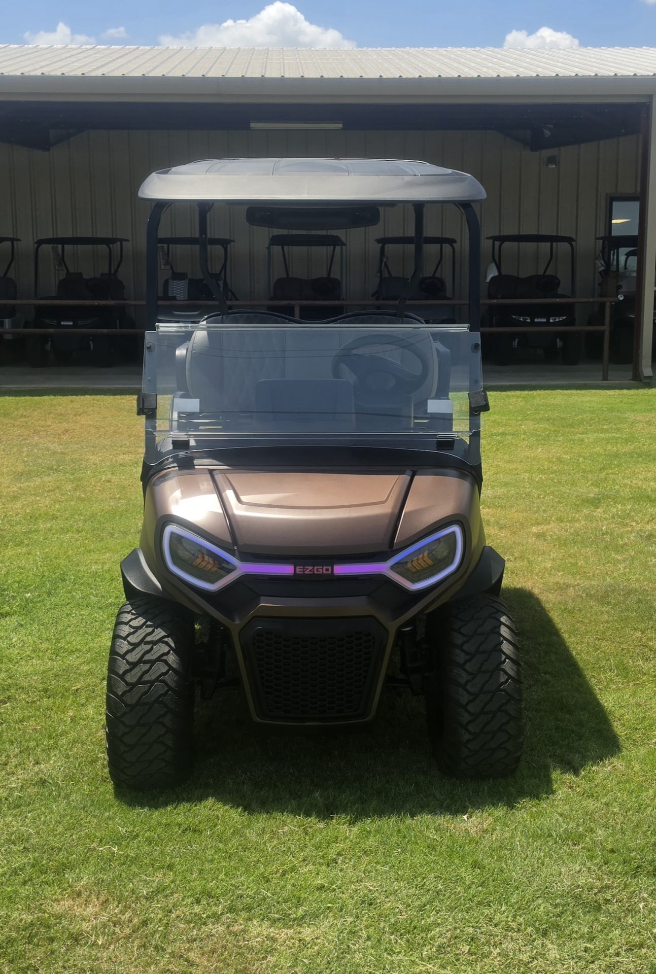 2027 EZGO Liberty photo 3