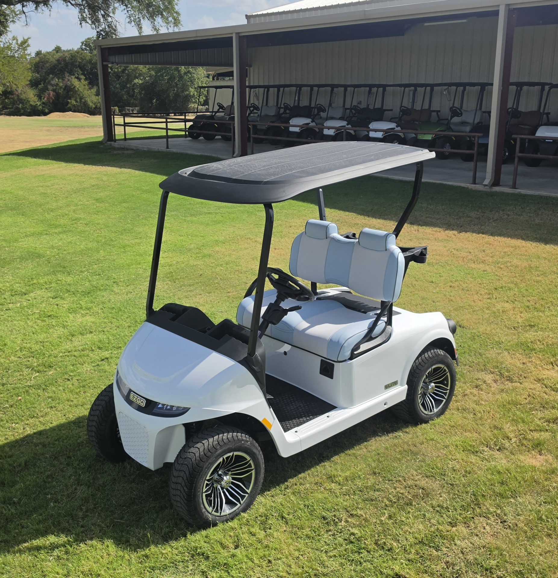 2026 EZGO Freedom