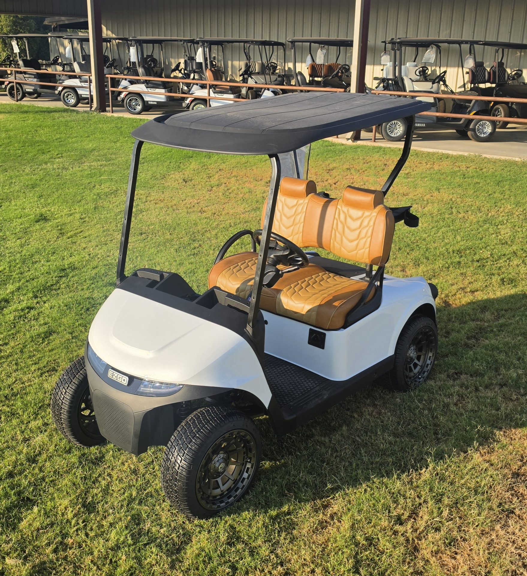 2026 EZGO Freedom