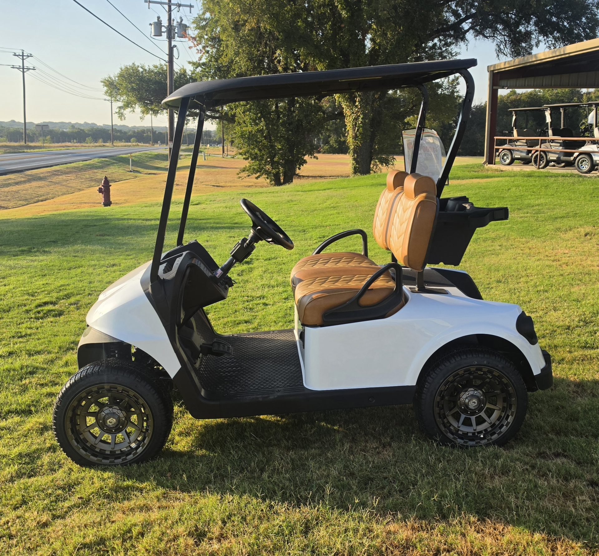 2026 EZGO Freedom photo 3