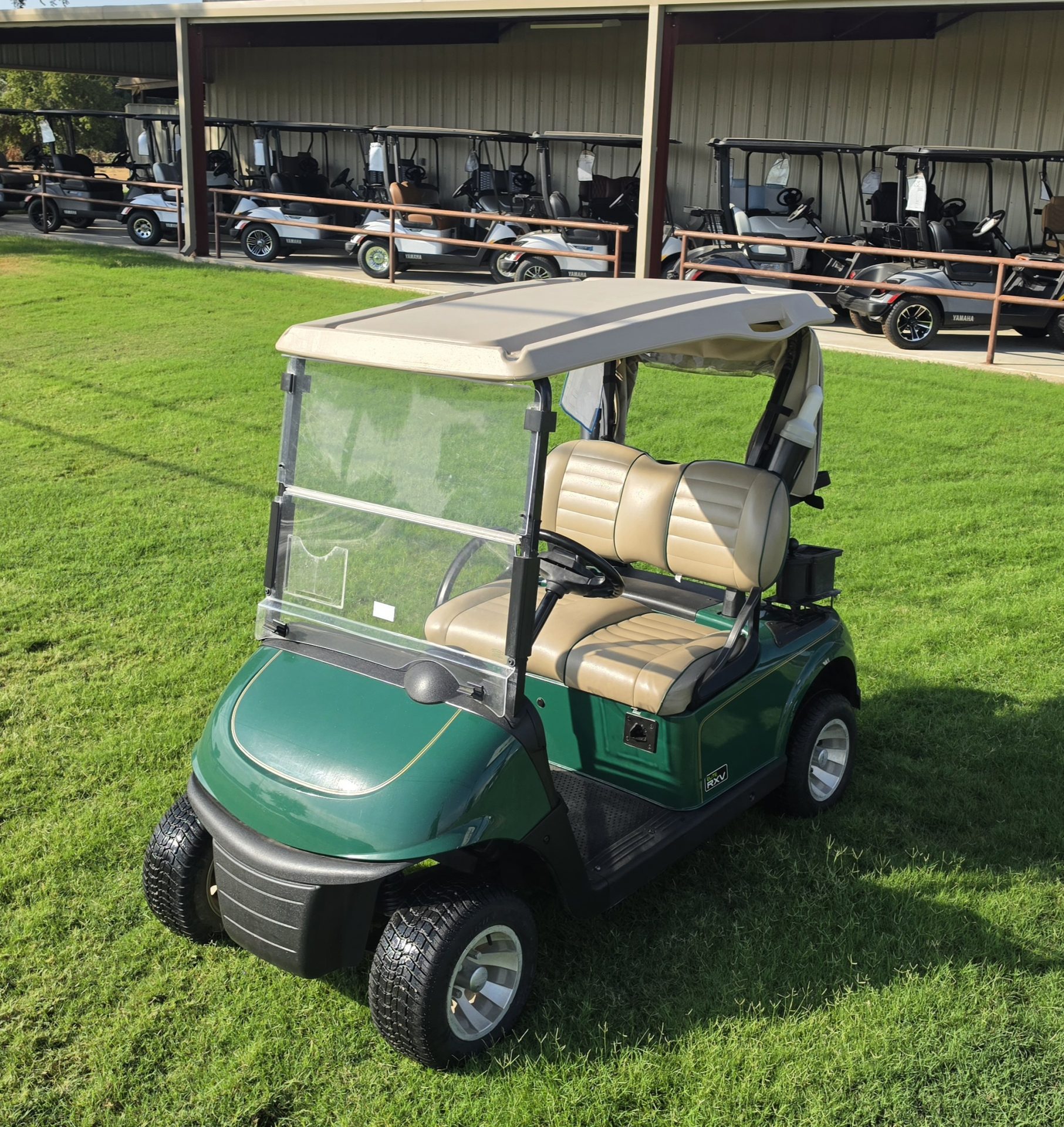 2019 EZGO Freedom