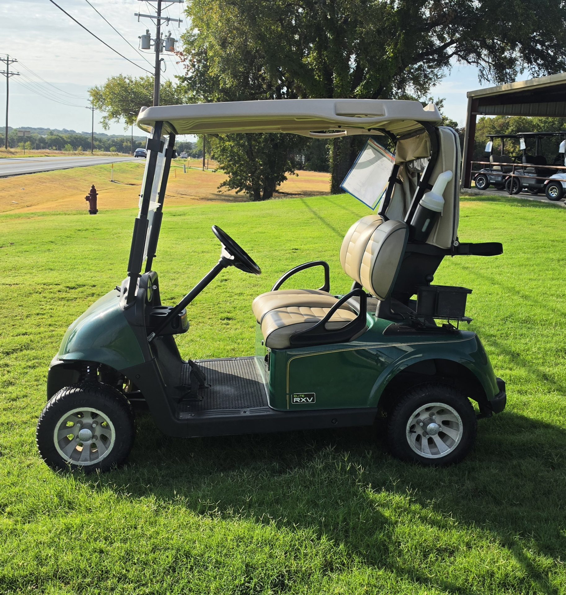2019 EZGO Freedom photo 3