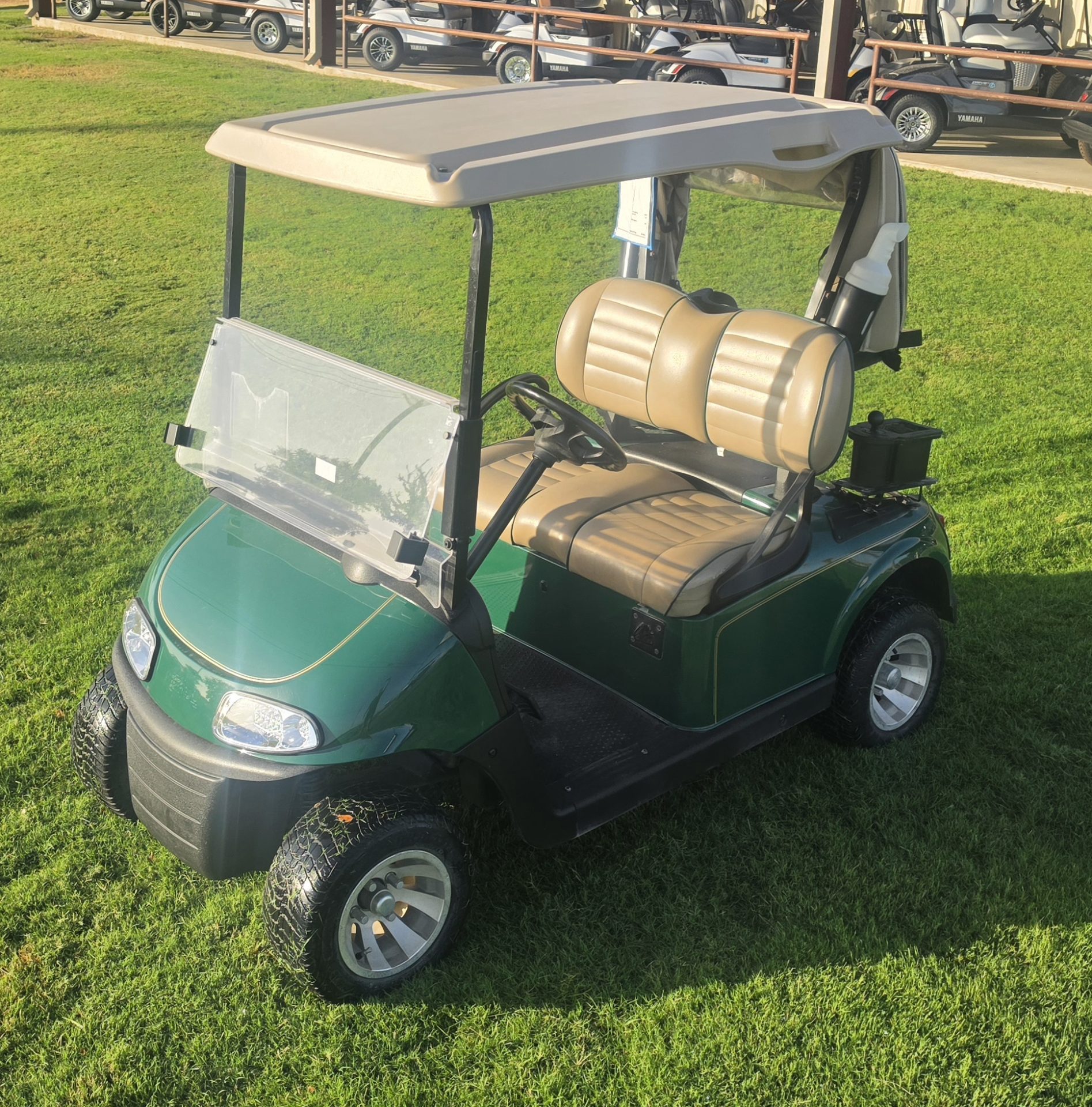 2019 EZGO Freedom