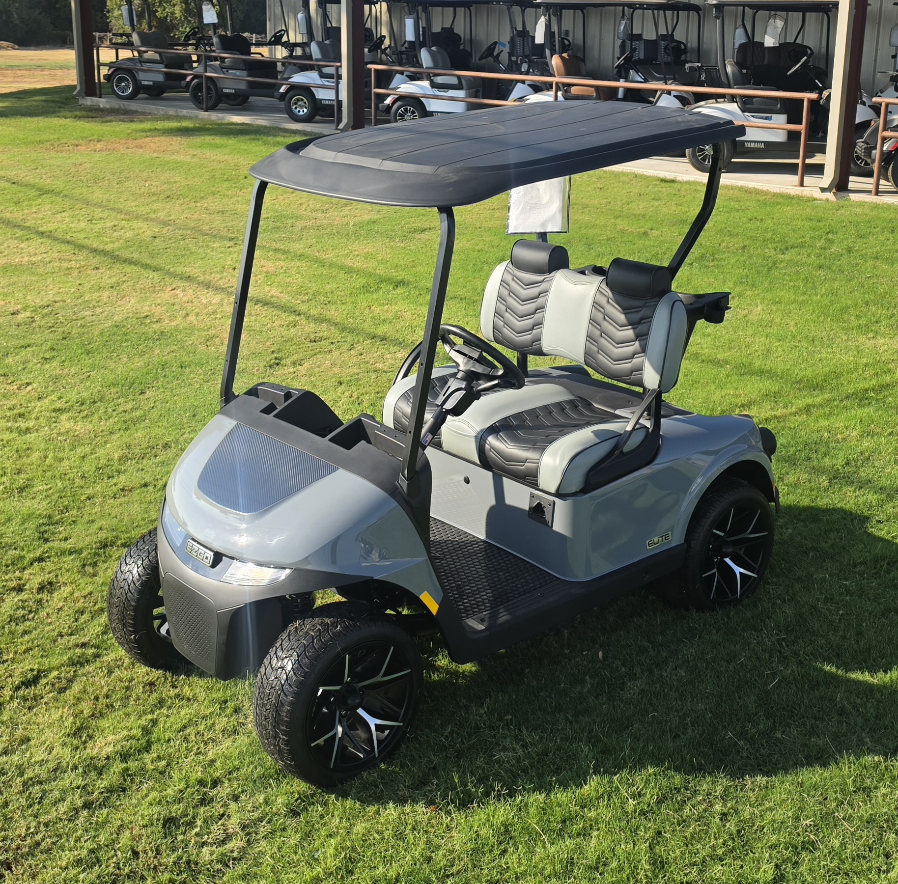 2026 EZGO Freedom