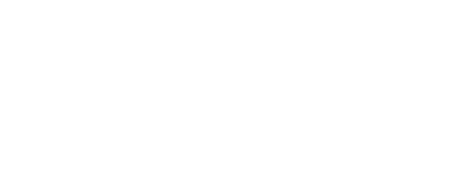 ICON logo