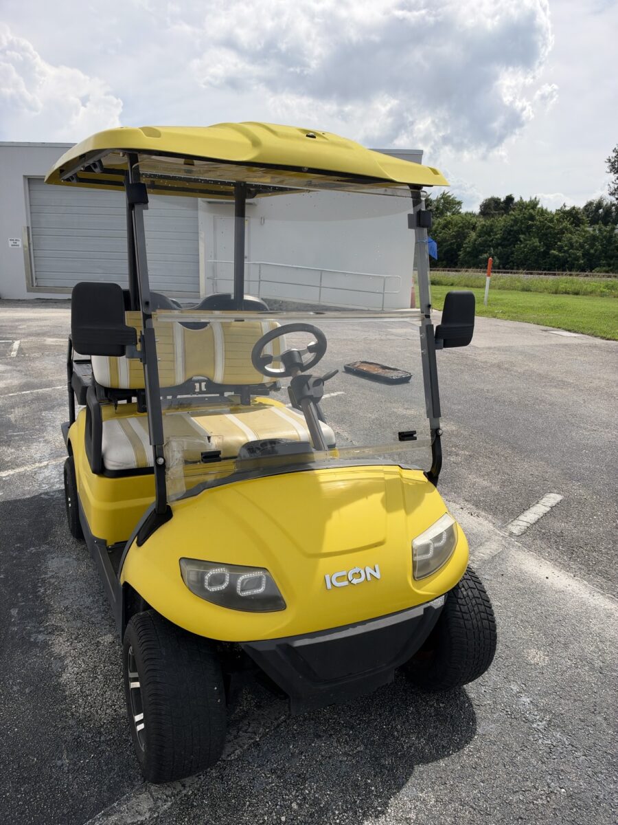2019 Icon i40L photo 2