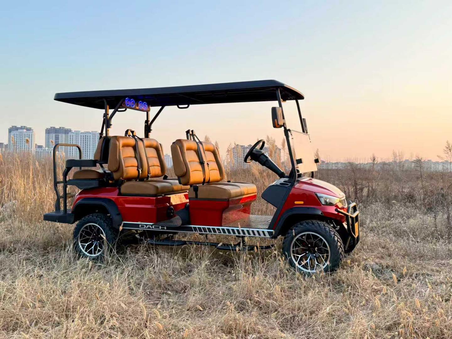 2026 DACH 6-PASSENGER (APOLLO 4+2) | B&W Golf Cars