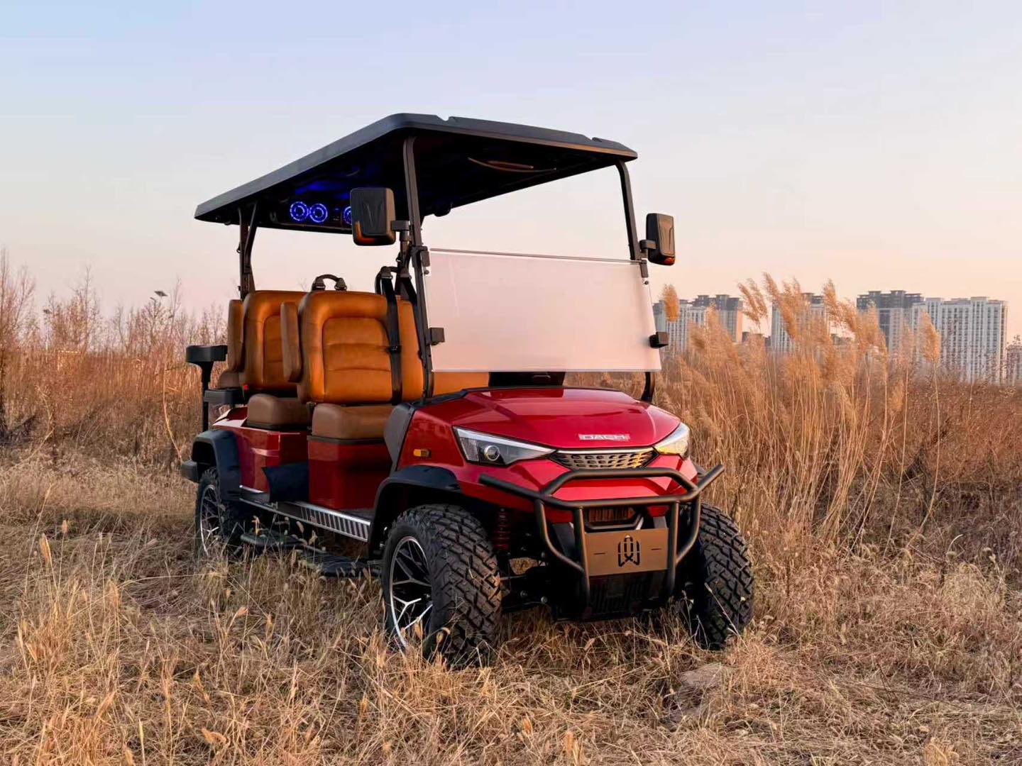 2026 DACH 6-PASSENGER (APOLLO 4+2) | B&W Golf Cars