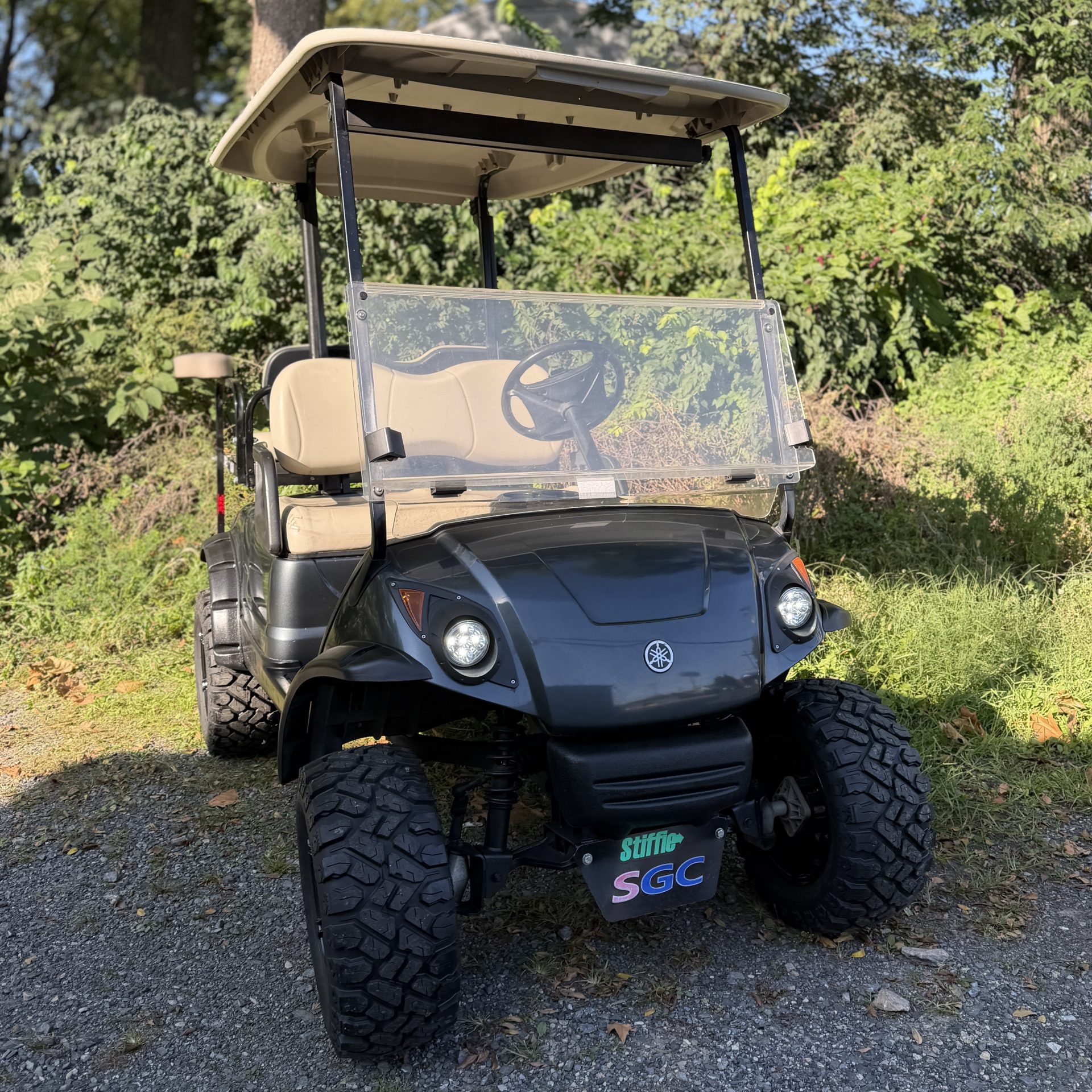2008 Yamaha Drive