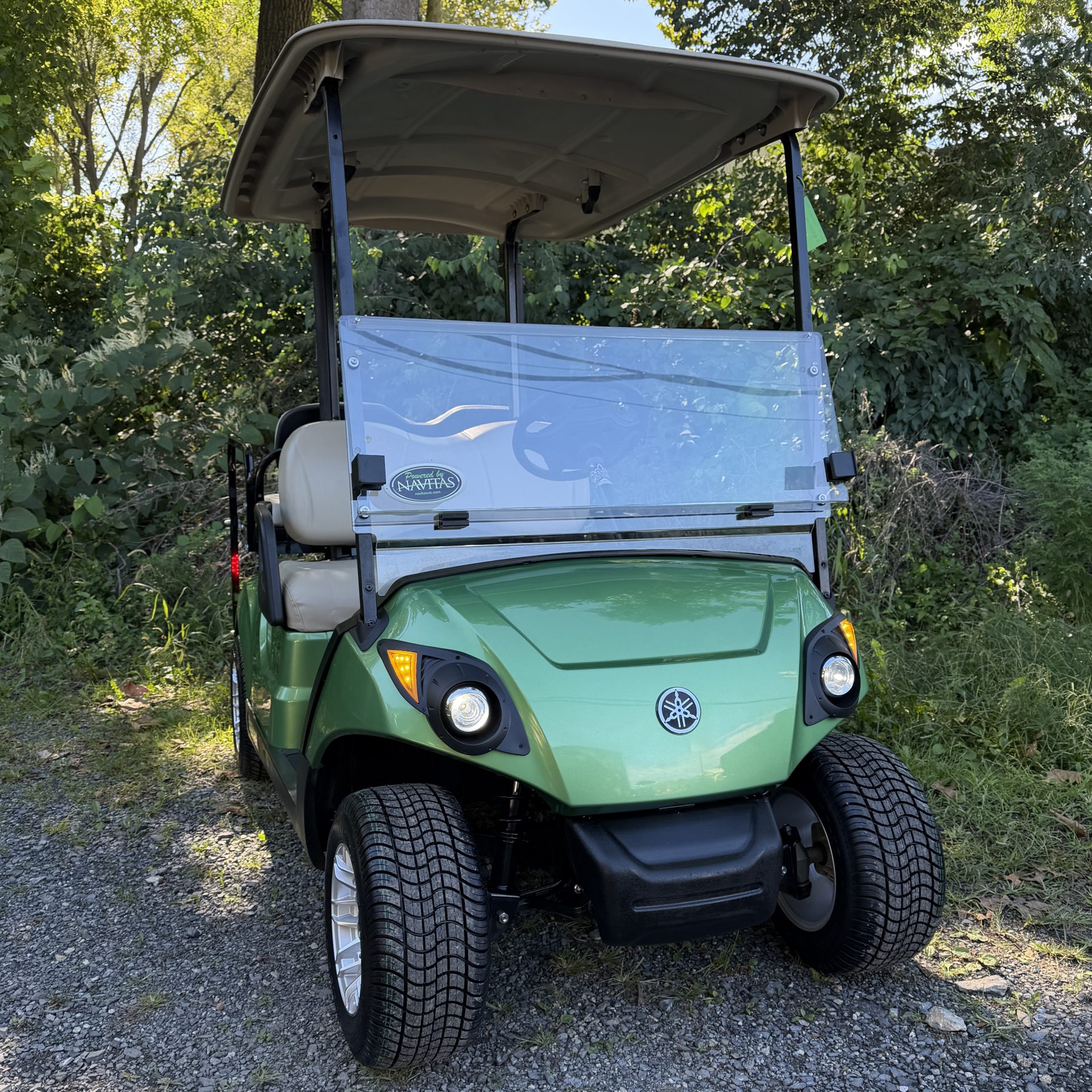 2019 Yamaha Drive2