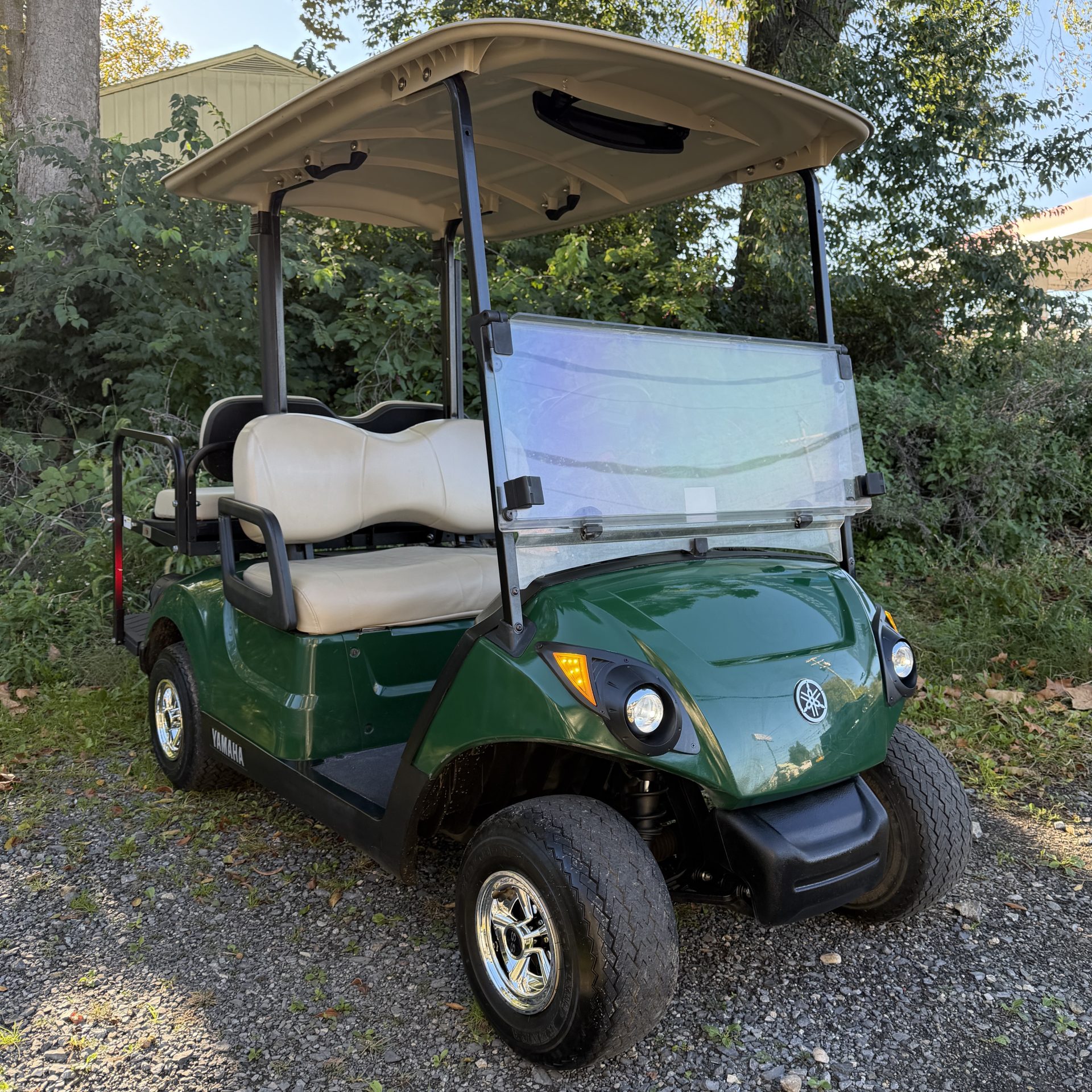 2019 Yamaha Drive2