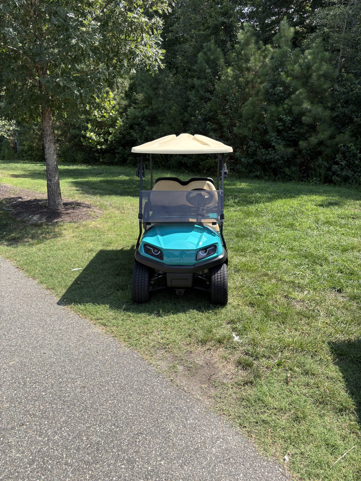 2021 Club Car Tempo