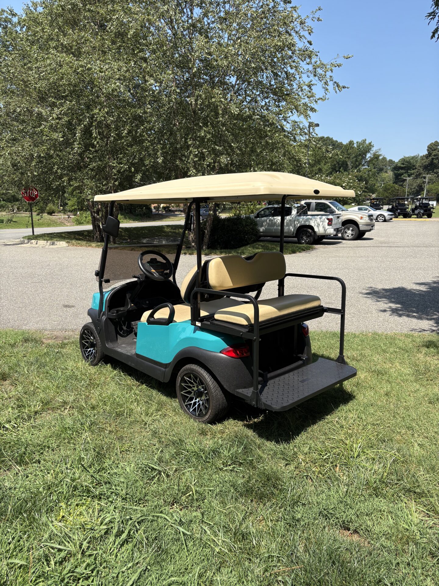 2021 Club Car Tempo photo 2