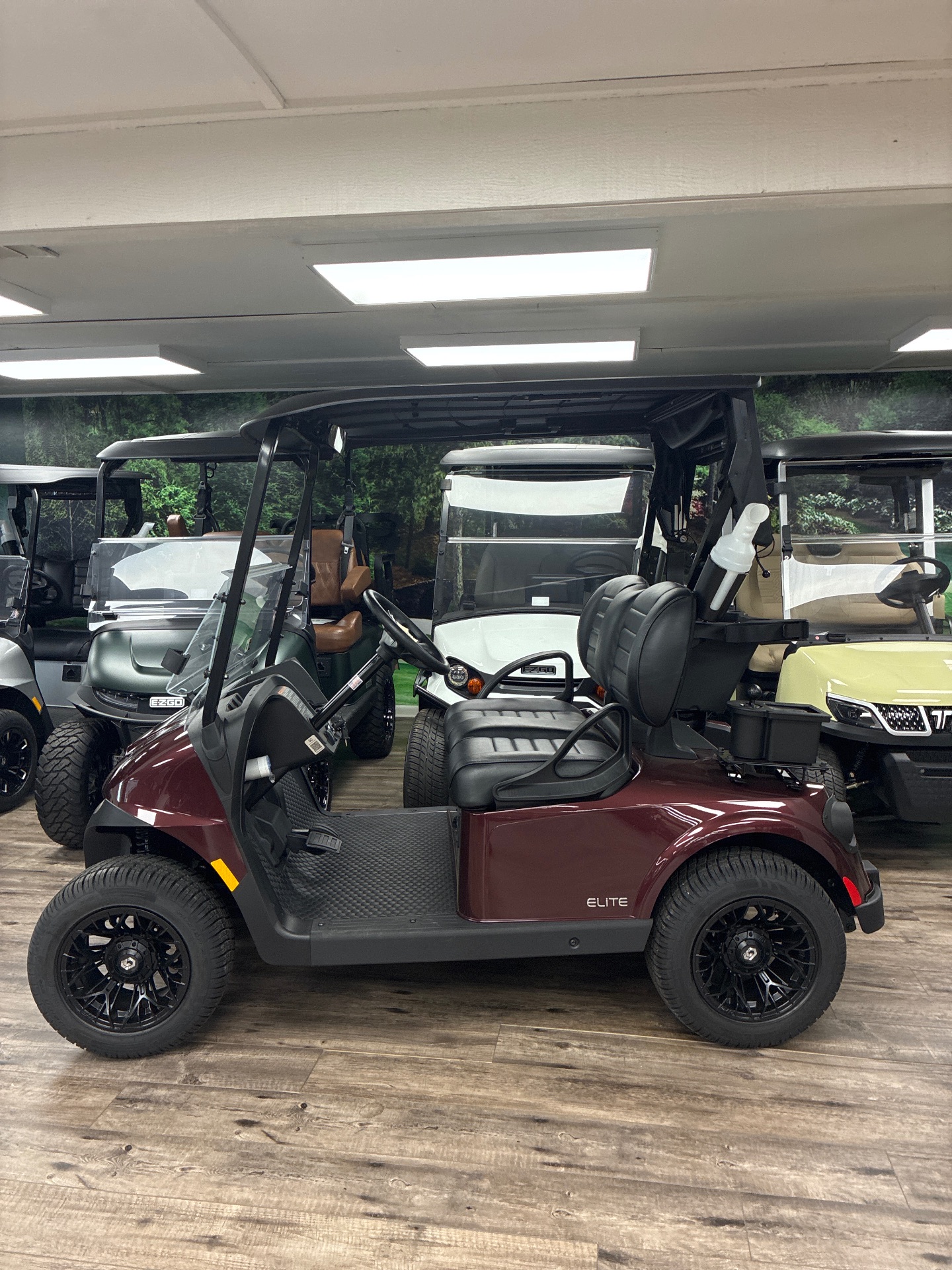2025 EZGO RXV photo 2