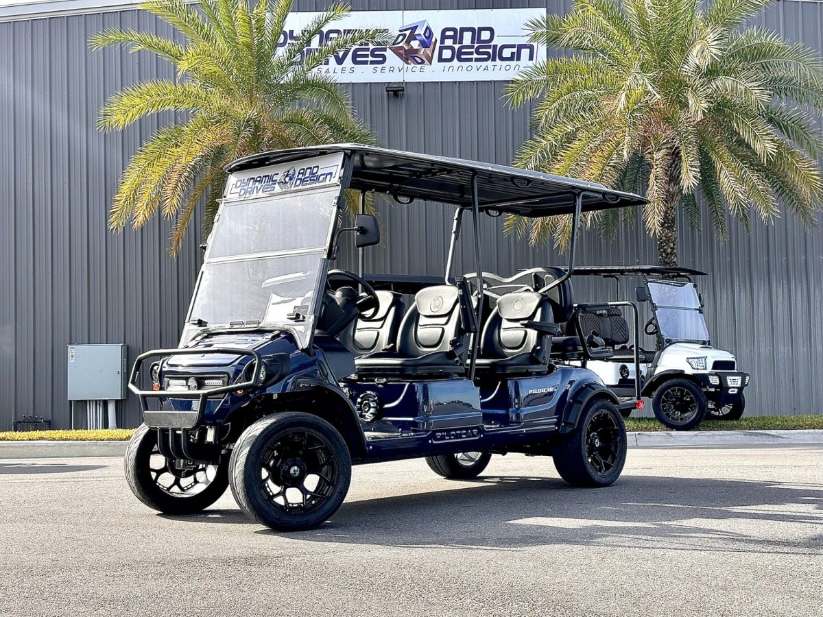 2025 Pilot Car EV 6 Passenger Loaded Big Stereo Lithium Wheels/Tries Package Fender Flares