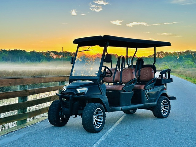 2025 Atlas Carts 6P-L W210