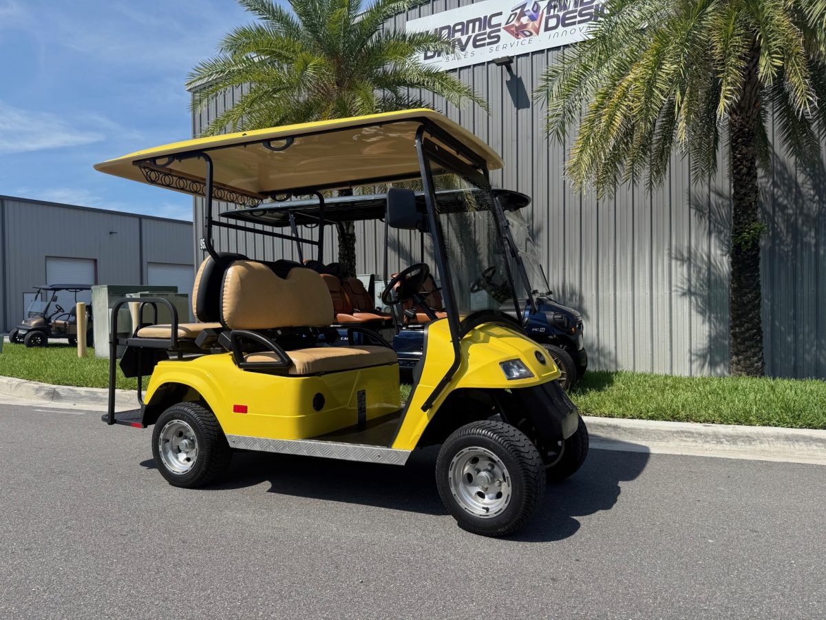 2010 Star EV Classic 48v