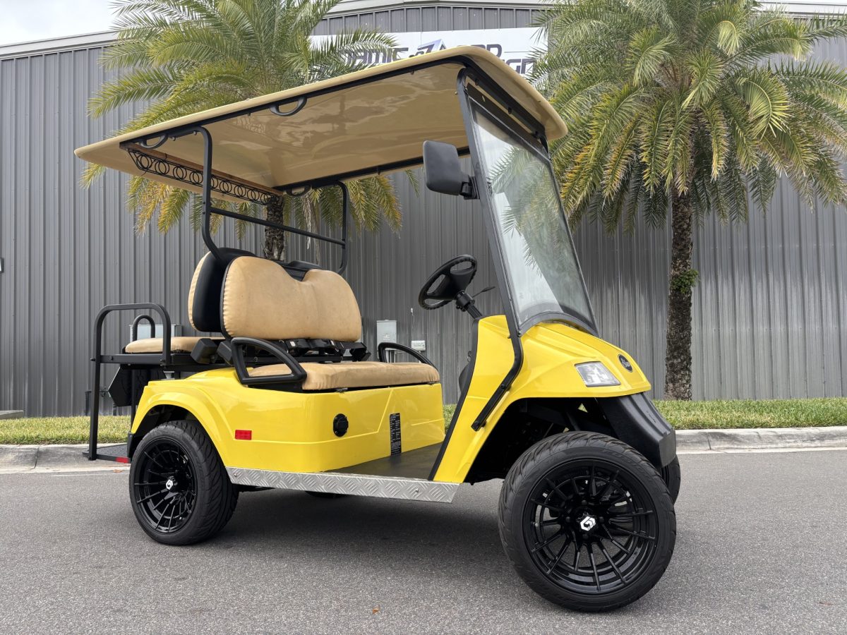 2010 Star EV Classic 48v