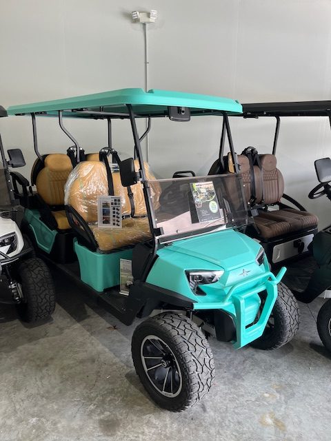 2024 Atlas 6 passenger lifted Tiffany Special Edition