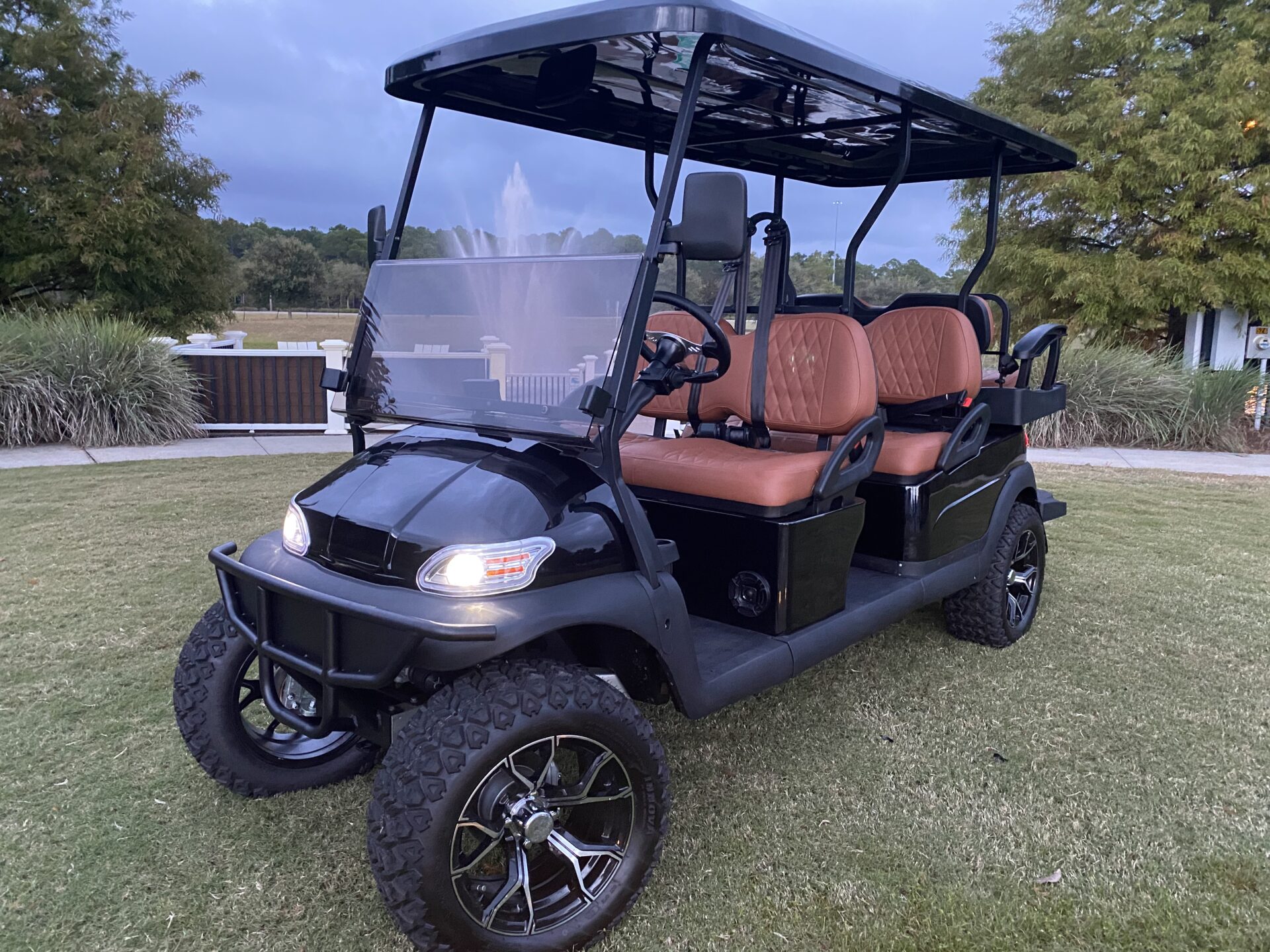 2021 Excar Limo Cart