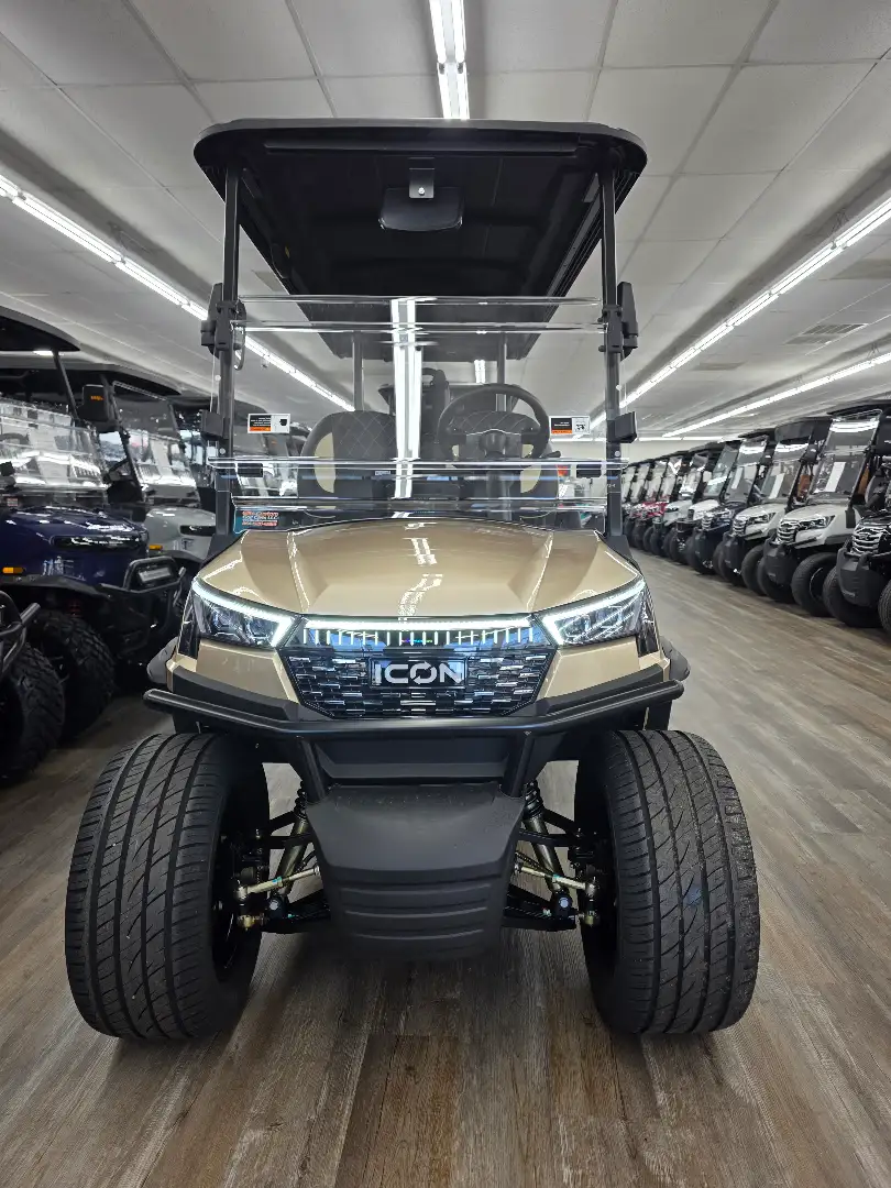2026 Icon I60LX photo 3
