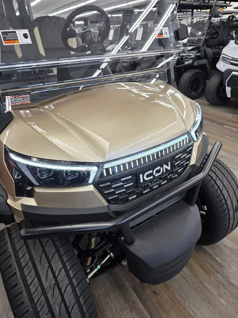 2026 Icon I60LX photo 4