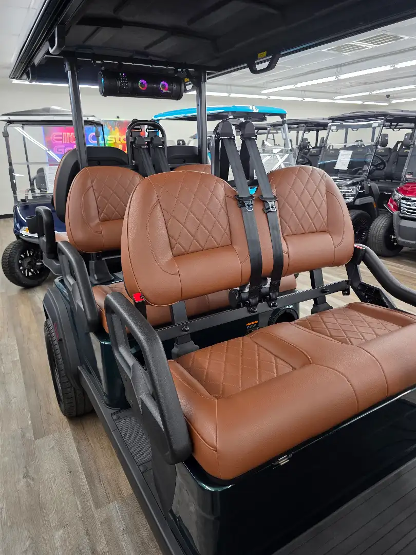 2026 Icon I60LX photo 4