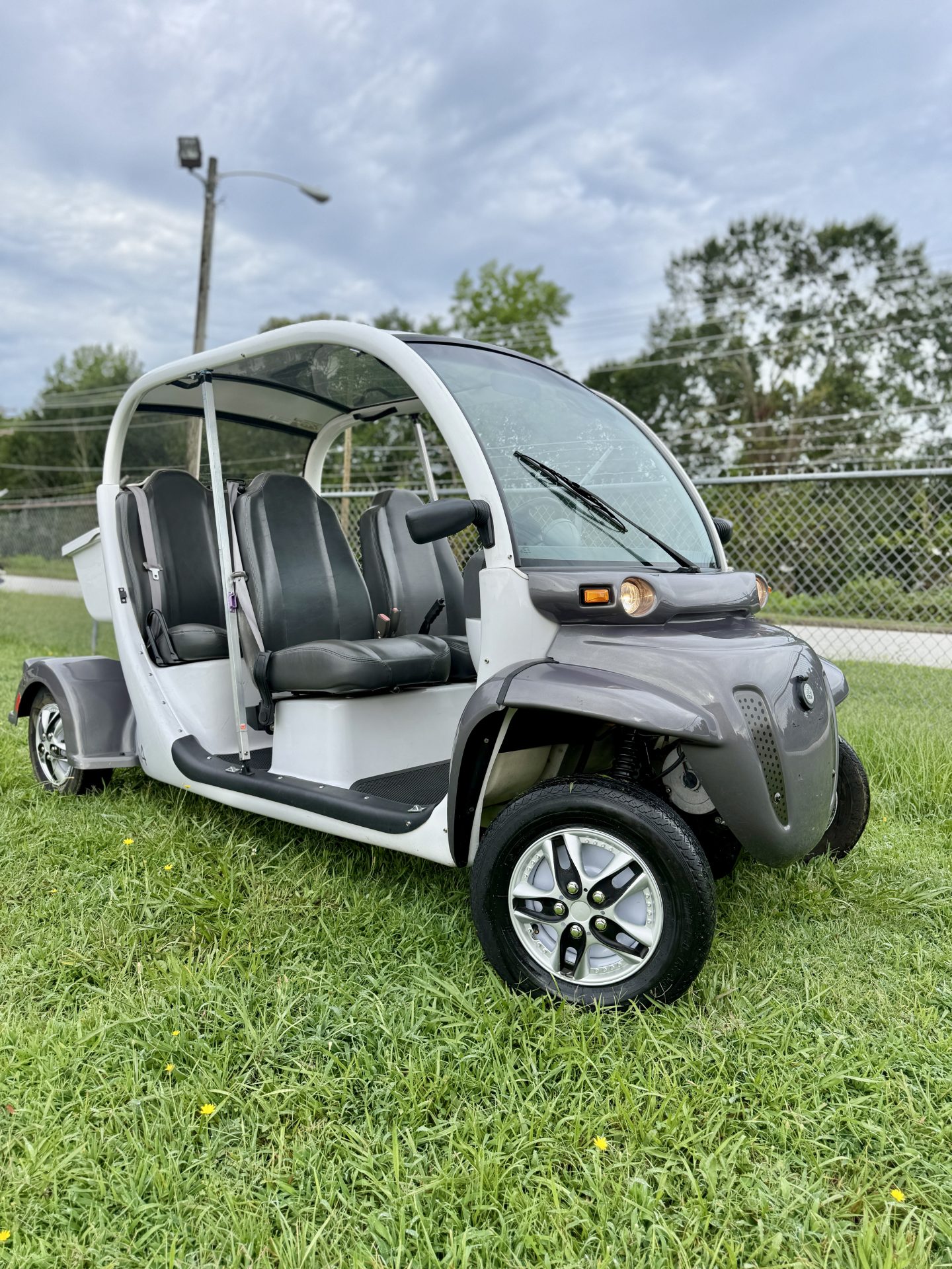 2006 Polaris GEM E4