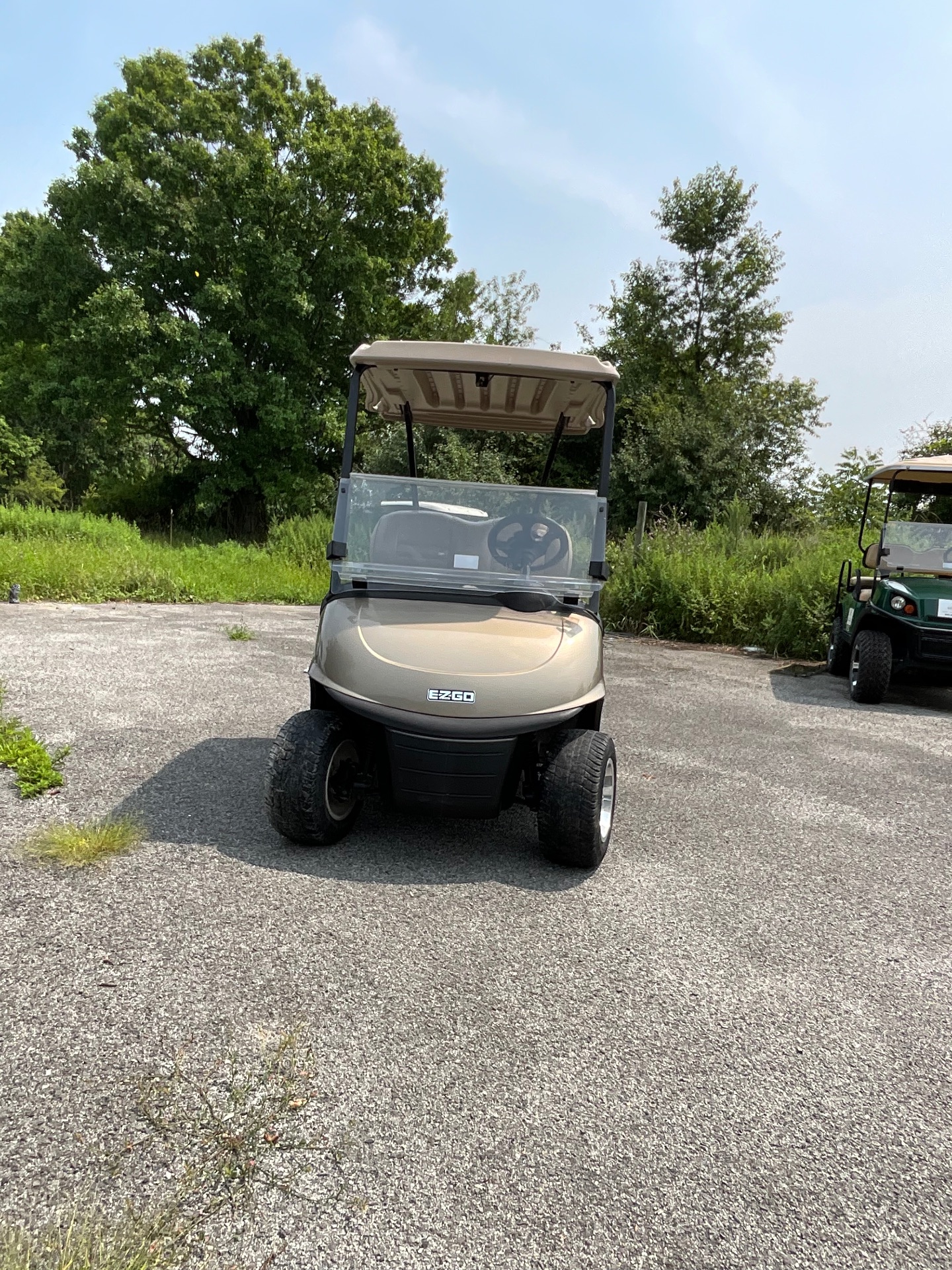 2018 EZGO RXV photo 4