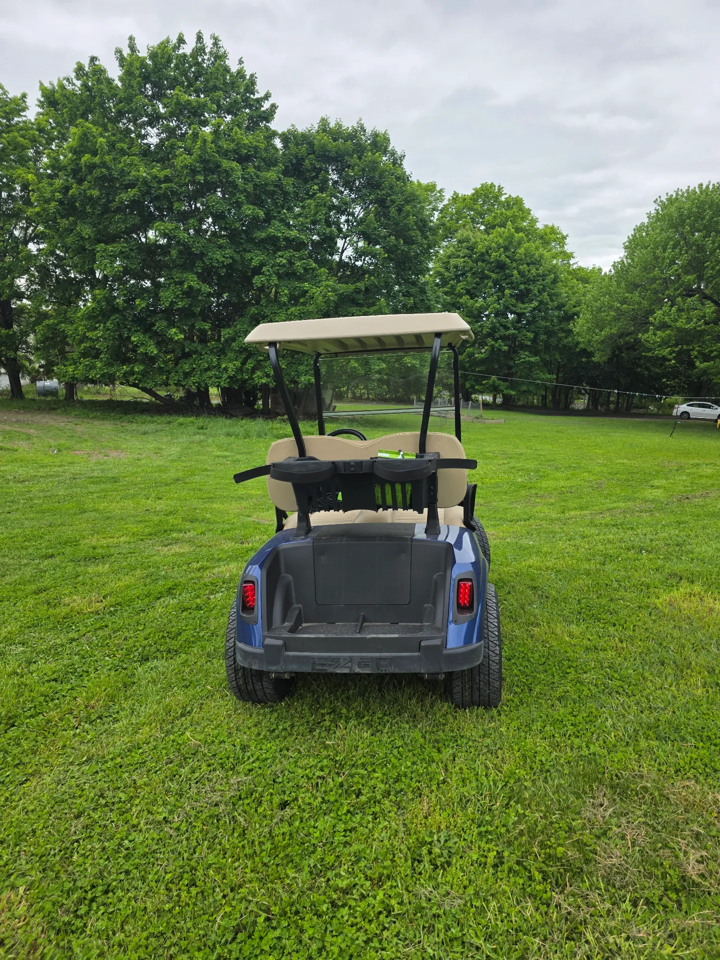 2019 EZGO RXV photo 6