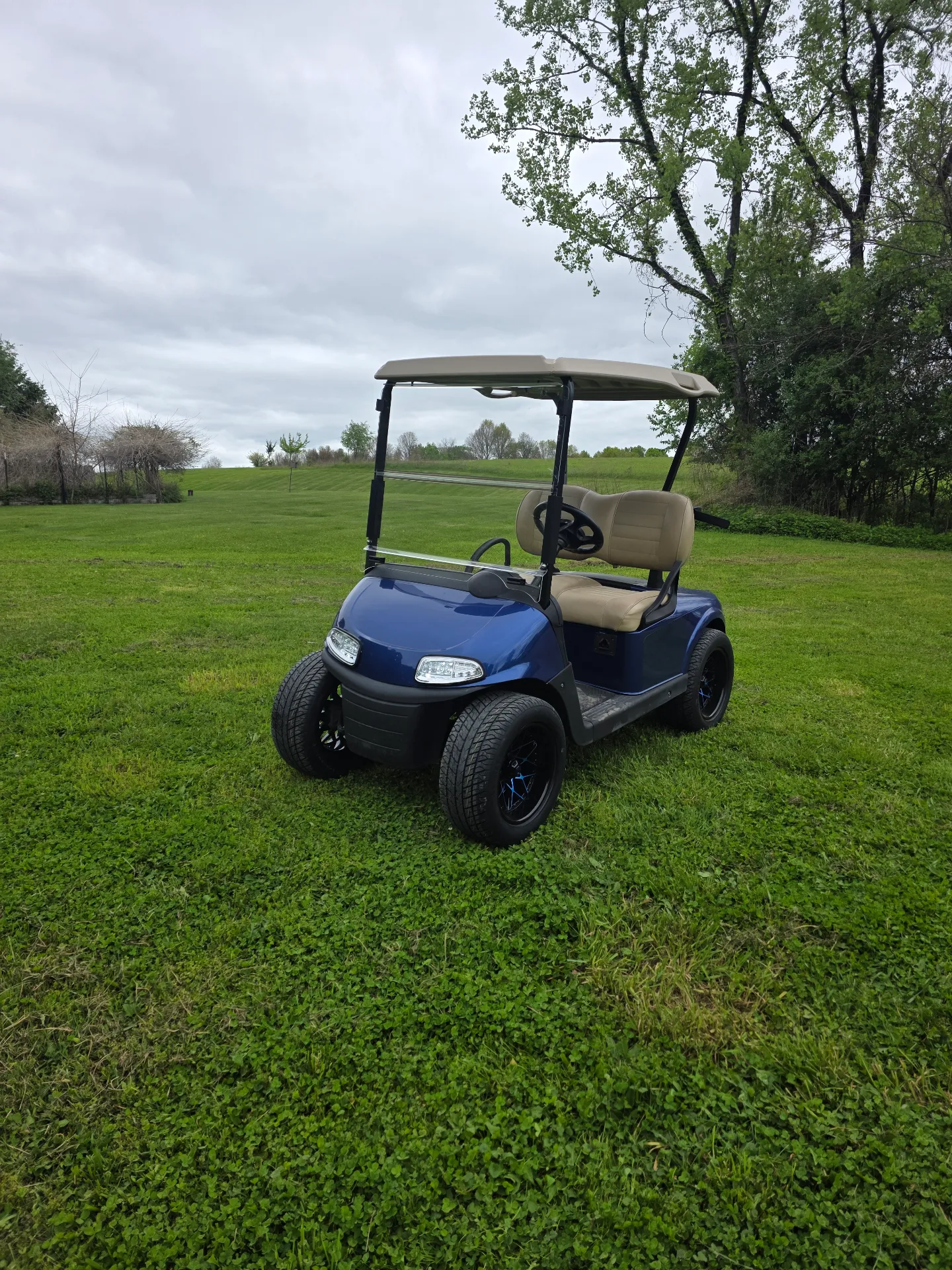 2019 EZGO RXV photo 7