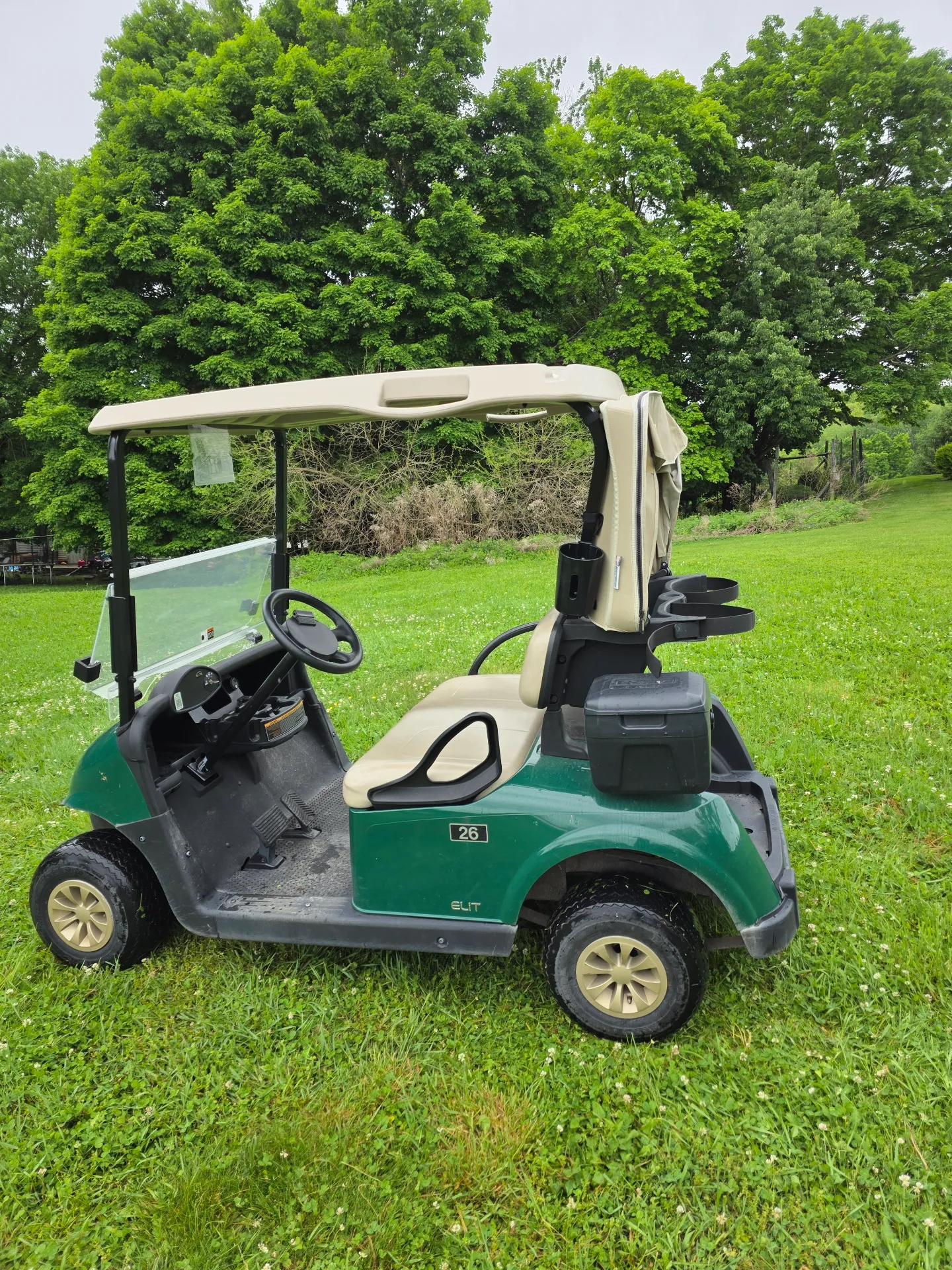2021 EZGO RXV photo 5