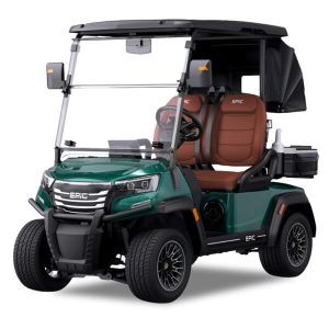 2 Seater Golf Cart for Rent