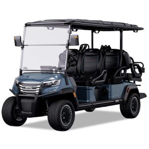 6 Passenger Golf Cart for Rent