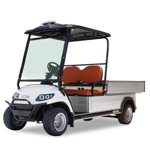 Utility Golf Cart for Rent
