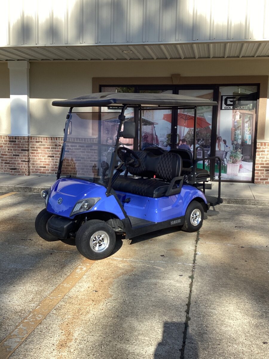 2019 Yamaha Drive2