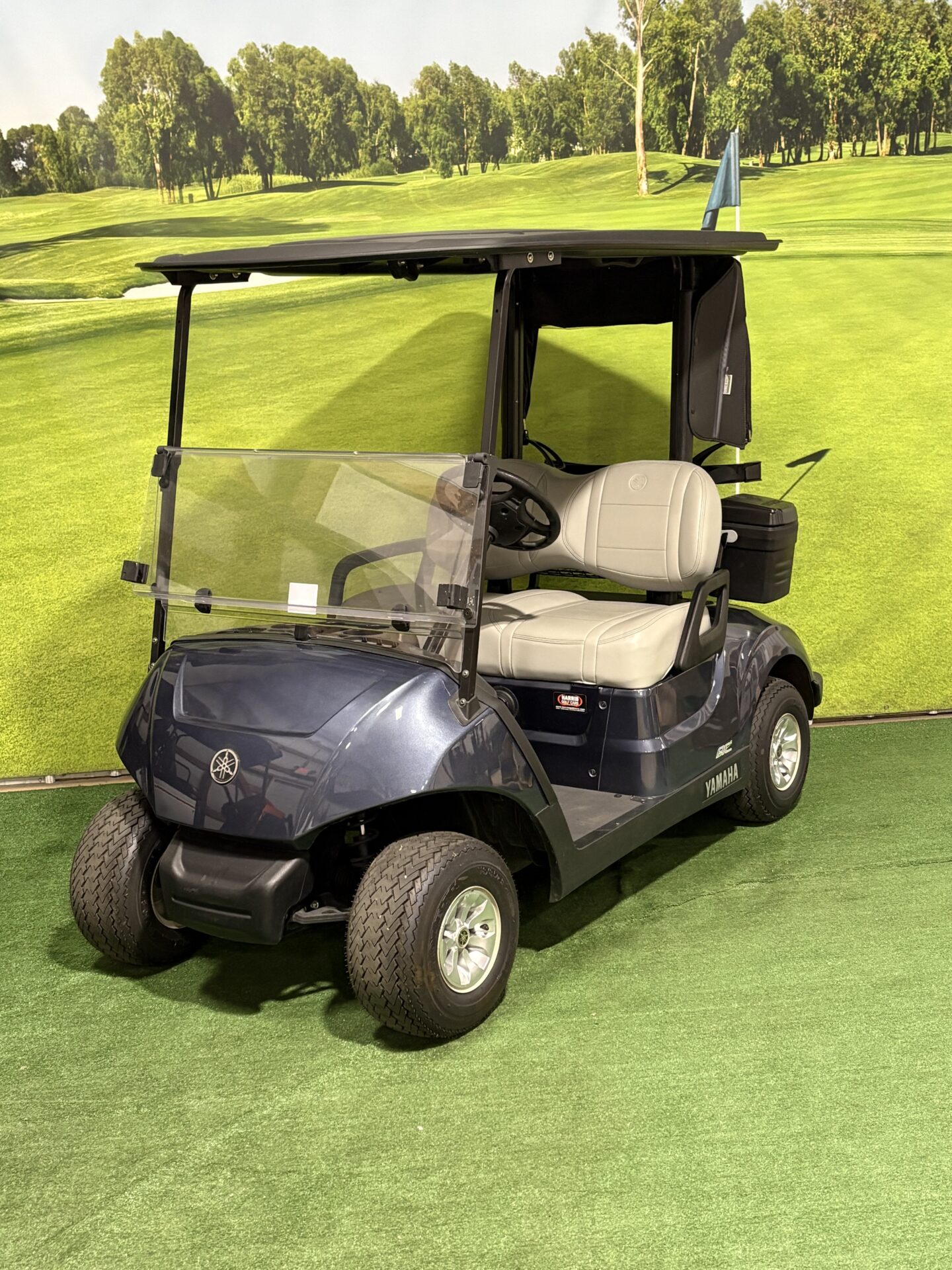 2024 Yamaha Drive