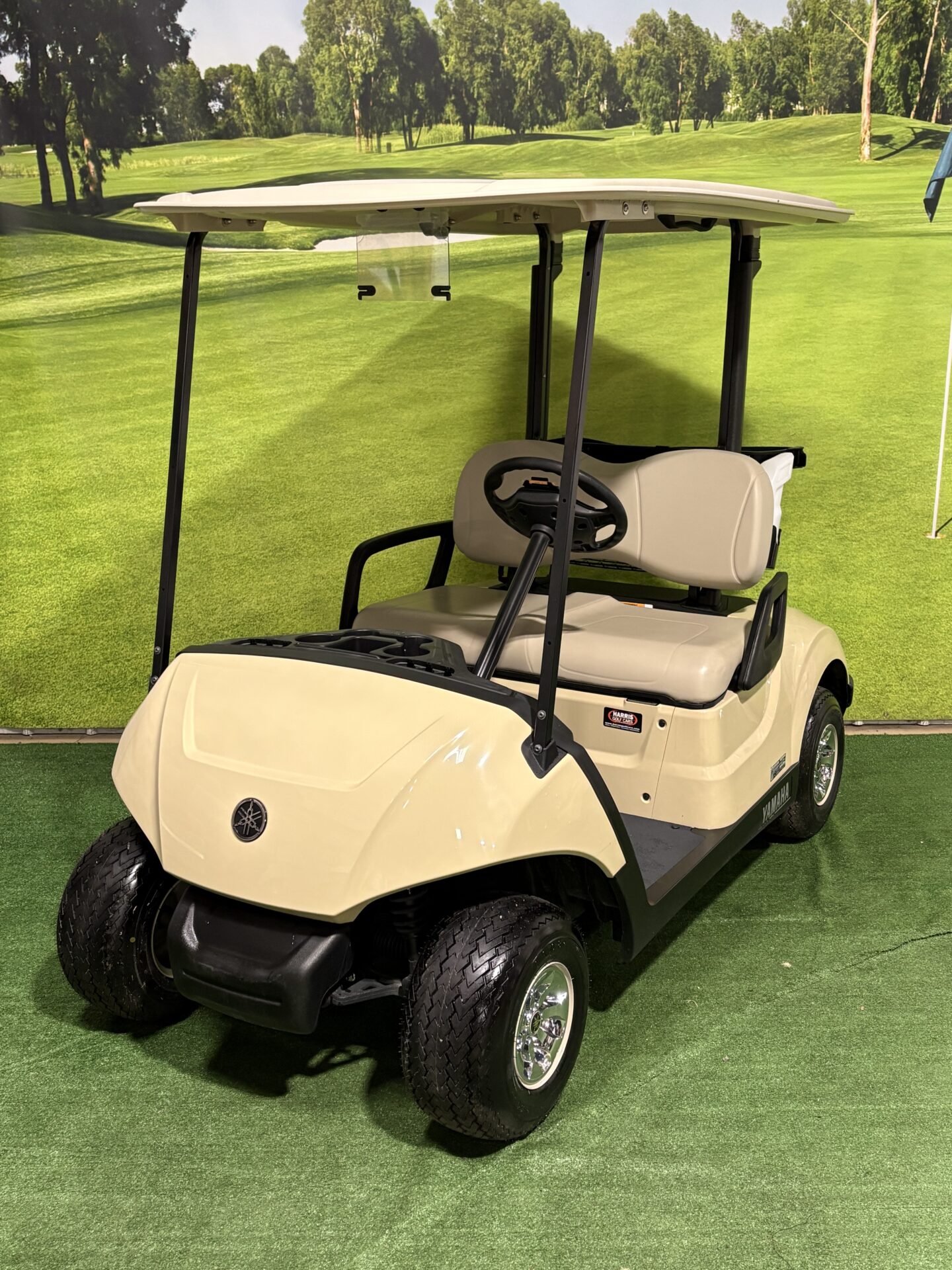 2025 Yamaha Drive