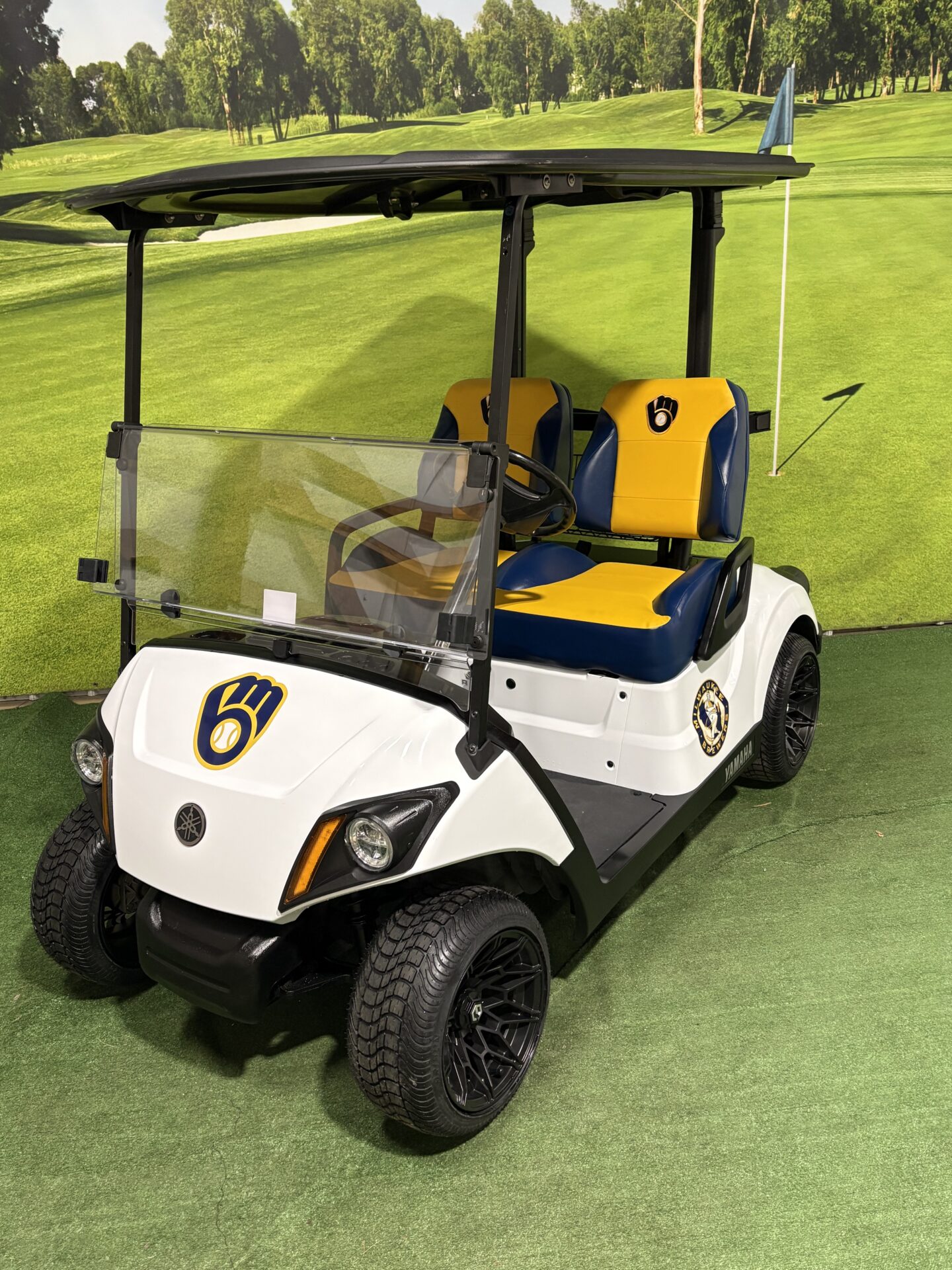 2017 Yamaha Drive