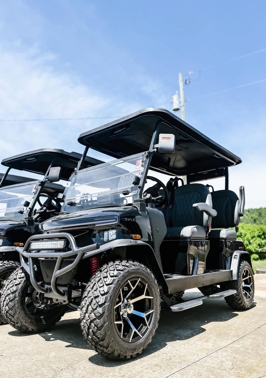 2025 Denago EV Rover XL 4