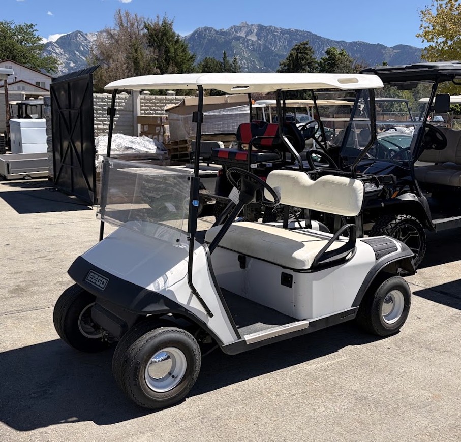 1996 EZGO Medalist photo 2