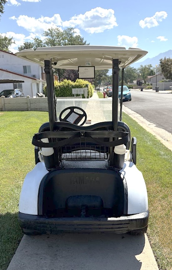 2017 Yamaha Drive2 photo 8