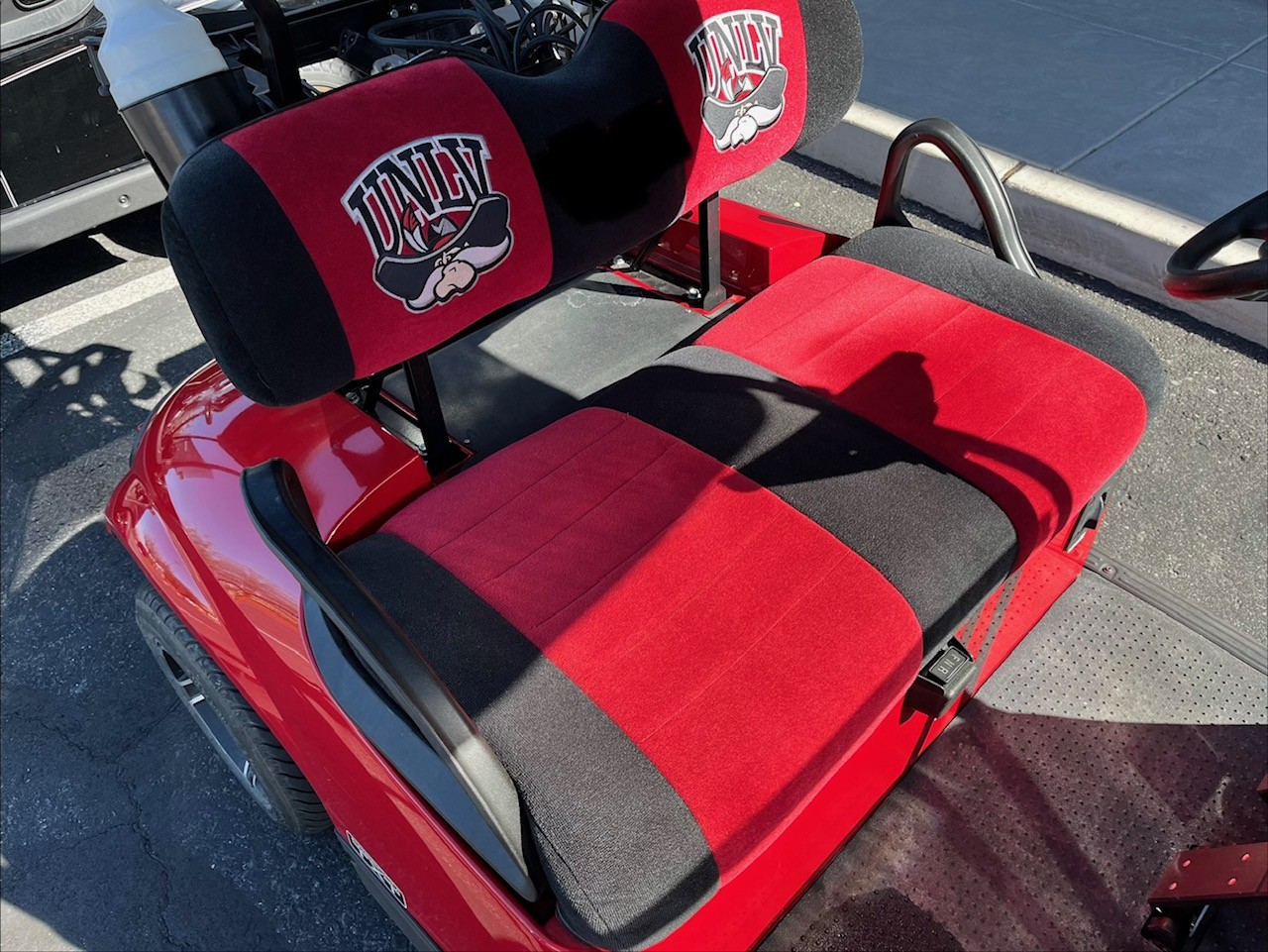 2018 EZGO Freedom photo 5
