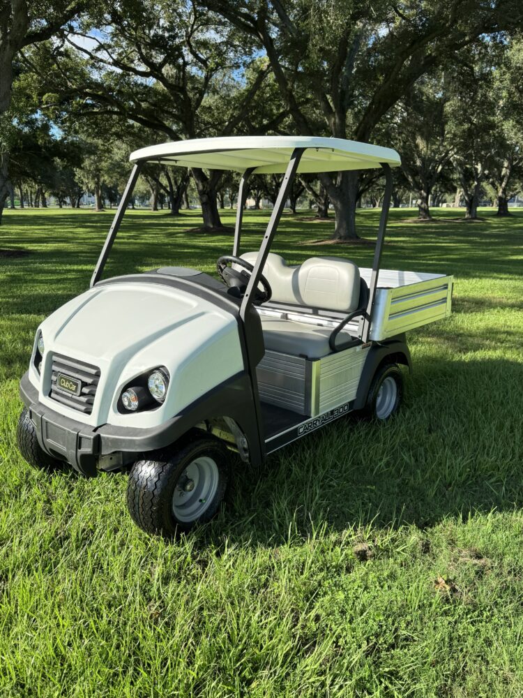 2021 Club Car Carryall photo 2
